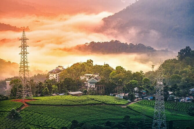 Serene Munnar Retreat: Private Tour from Kochi to the Munnar Hill - The comfort and value math: what you actually get for $80