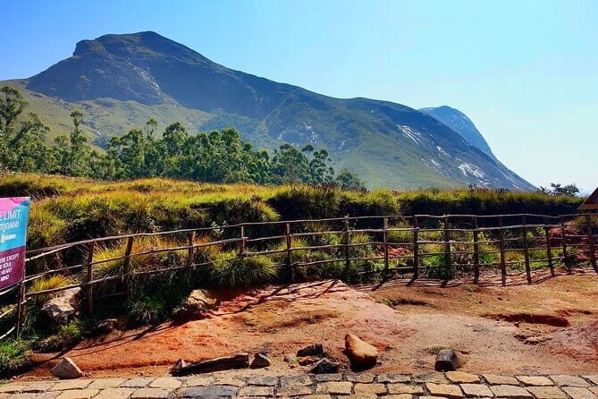 Serene Munnar Retreat: Private Tour from Kochi to the Munnar Hill - Cheeyappara Waterfalls: seven steps and a Kerala break