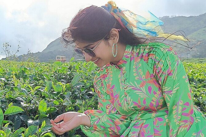 Solo Kerala Private Tour Package ( 5 Nights) - Munnar, Thekkady, Houseboat - Day 1: Land at Kochi, then go straight to Munnar’s tea-air