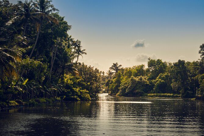 Sunset Cruise with Village Life and Local Food - The Bay Island Driftwood Museum stop: a short cultural pause