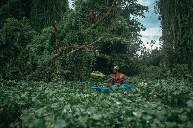 Sunset Kayaking in Hidden Alleppey Backwater Routes - Getting to Punnamada and What Happens Before You Paddle