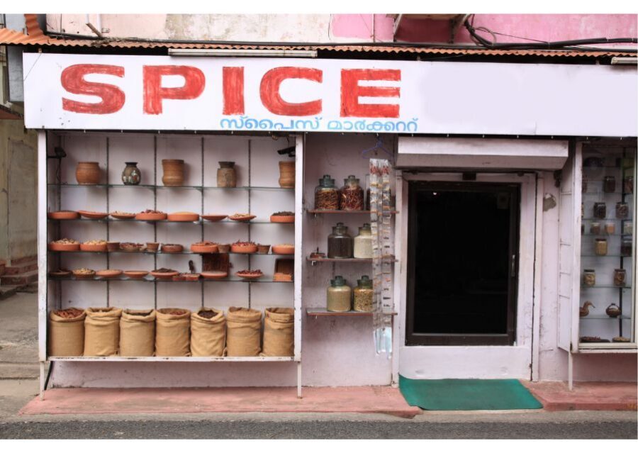 Vibrant Markets of Kochi (2 Hours Guided Walking Tour) - Price and Value: Is $14 Reasonable for This Kind of Walk?