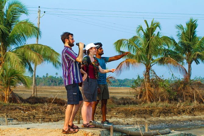 Village Bike Tour & Birdwatching - Stop 1: Pallithode Wetland and your first birdwatching window