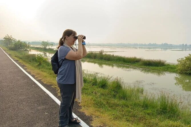 Village Walking Tour and Bird Watching - The Chellanam village roads: birds first, then the why