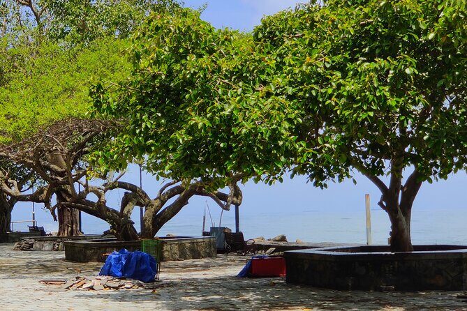 Walking Tour Of Fortkochi & Local Lunch - St. Francis Church: a landmark with context, not just a photo stop